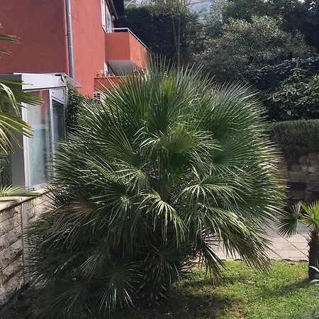 Apartamento Palma *